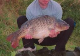 Common carp at 24 Pounds Lichfield