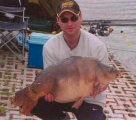 Picture Two-Tone carp at 28lbs Lichfield