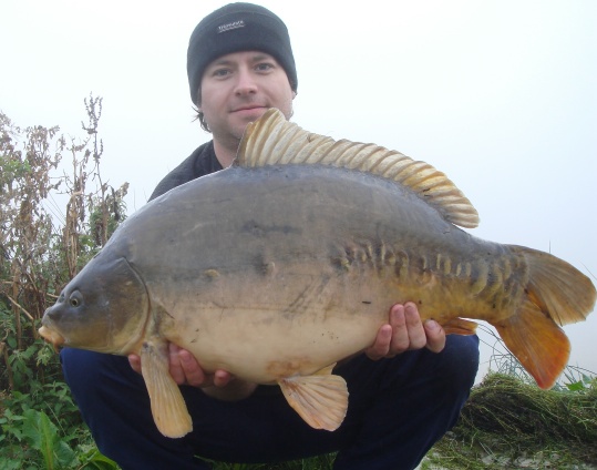 A 24 pound mirror carp caught from Bradleys lake in Glouceter