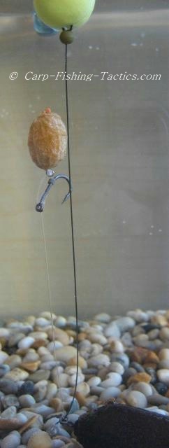 How the scorpion carp fishing rig looks under water