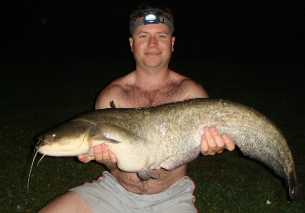 Another catfish caught at 16 pounds with a great fighting ability