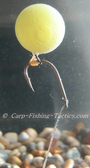 A close up photo of rotation carp rig