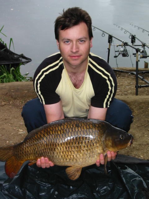 Picture of small common Carp