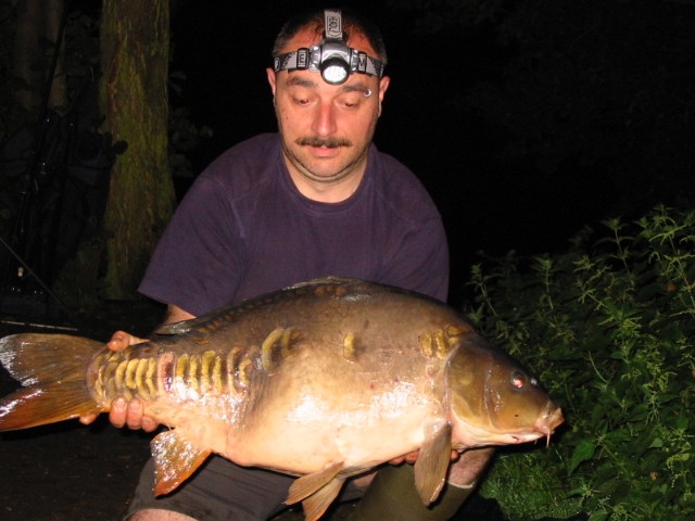 Daz 23 half carp