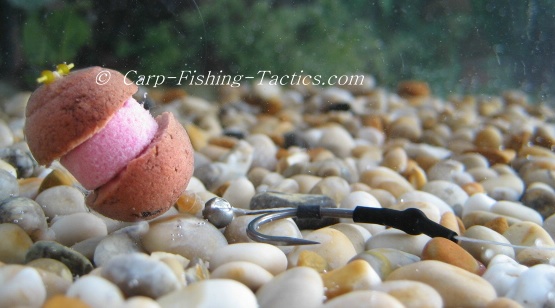Fizzing Fish