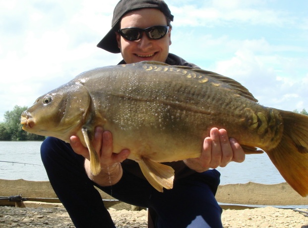 Fifteen pounds of mirror carp caught at Oxlease lake