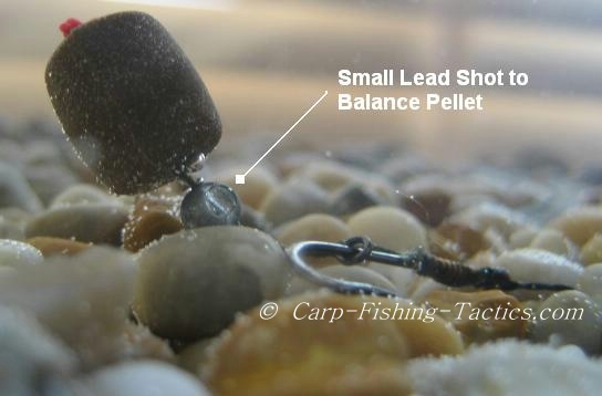 How the carp rig looks in action under water