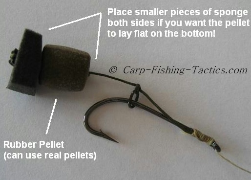 Detailed view of pellet carp rig
