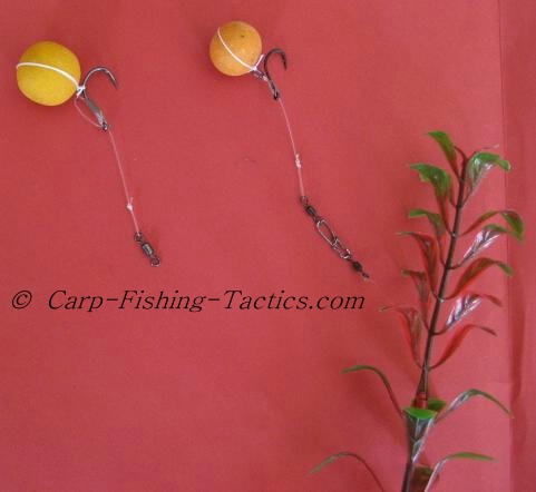 Rigging up carp tactics for catching big fish