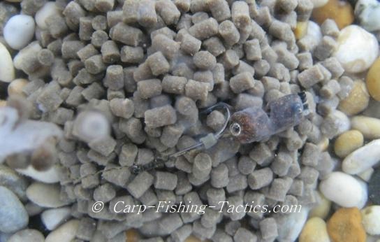 Overview of small pellet rig in water gives best presentation of bait