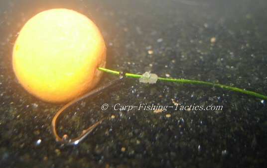 Good hooking potential from a simple carp fishing rig
