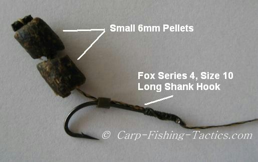 Small pellet rig to catch out wary big carp