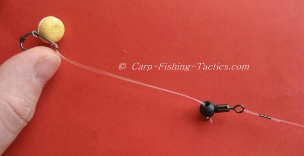 testing strength of rotation on carp rig