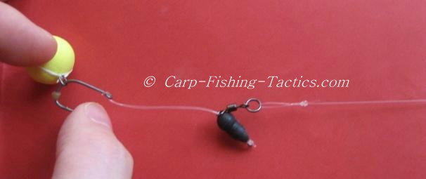 Testing the pop-up carp rigs