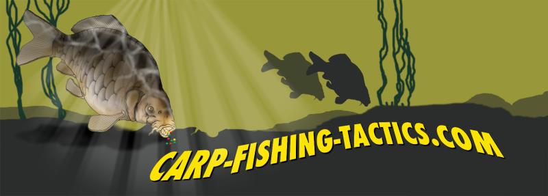 Logo fishing for carp