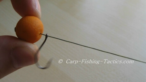 Test the effectiveness of the simple spinning rig before fishing for carp