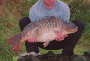 Common carp at 24 Pounds Lichfield