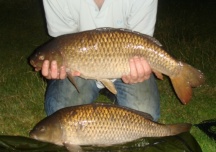 Brace of common carps from Poolhall's runs water