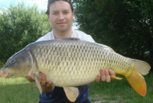 Barston's common 18 pounds