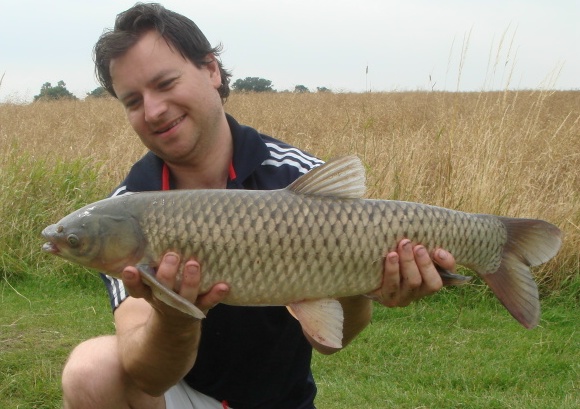 A beautiful grass carp from Poolhal fishery's runs water