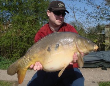 Image PVA Attractors to Catch Carp