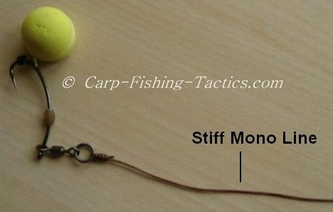 360 degree carp fishing rig