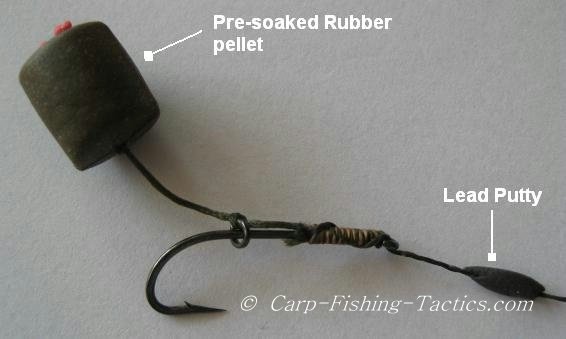 Rubber pellet Carp rig critically balanced