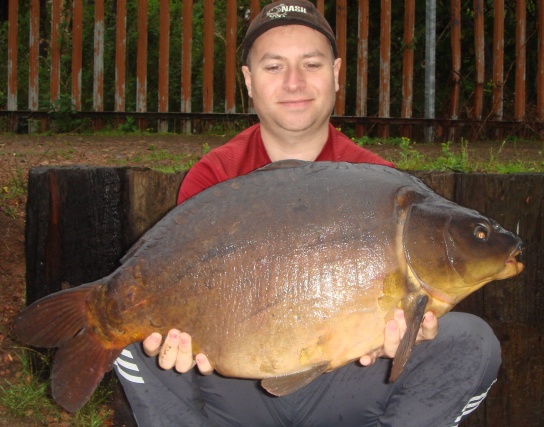 Photo of Carp following winds