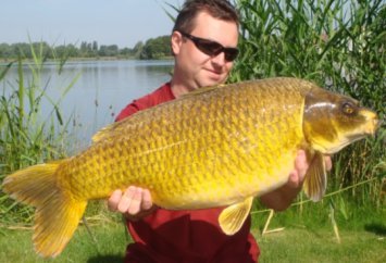 Photo of 25 pound huge ghost carp