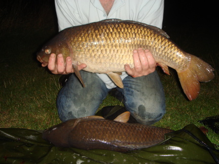 Photo showing carp senses when captured