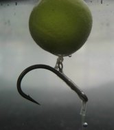 Claw Carp Rig Photo