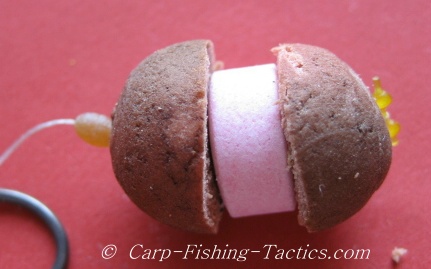 Shows image of rig ready for catching carp