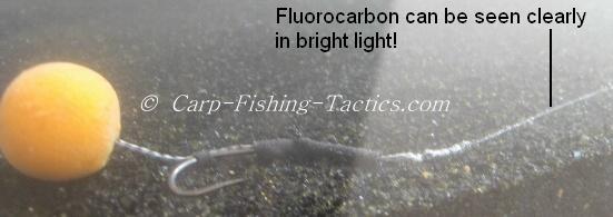Image shows fluoro line still visible in certain conditions