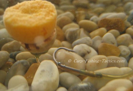 Close up Image buoyant bait rig in water