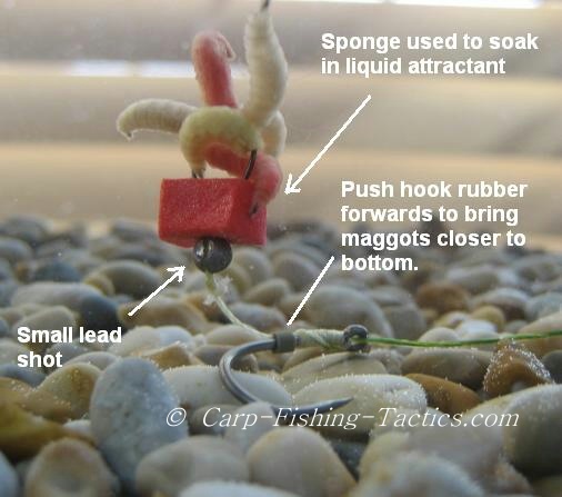 Shows the Maggot rig in water