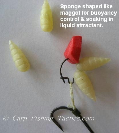 Fake maggot carp rig critically balanced maggotts catch carp