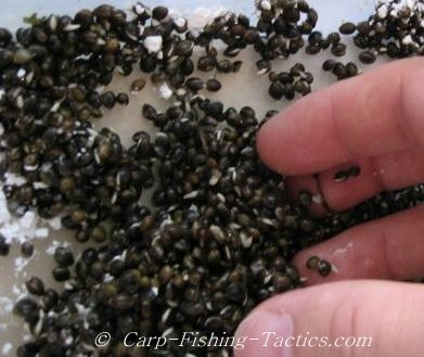 Photo of mixing Icing Sugar with hemp