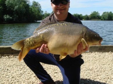 image shows carp reproduction after capture