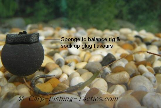 Single Hook Bait Fishing Rig for Carp