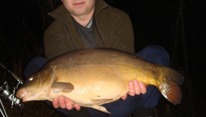 image of roaming carp fishing