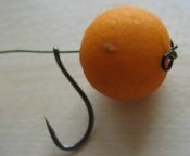 A Spinning Rigger System Helps Hook Carp!