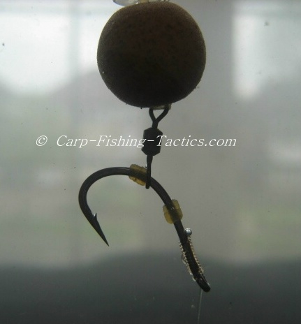 Different types of Pop Up Carp Rig variations