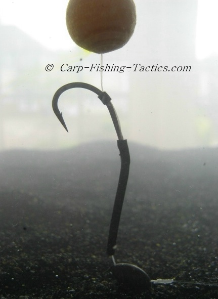 Different types of Up Carp Rig variations