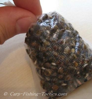 Image of wet hemp inside PVA bag