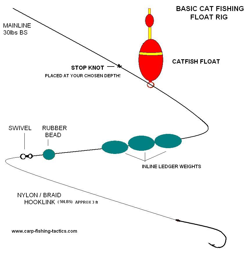 Photo diagram shows a Catfish Rig Catching Big Cats