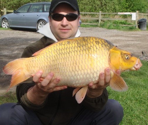 Picture of carp Not Caught Much