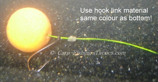 Image shows good hooking potential carp rig