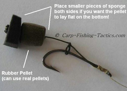 Critically balanced pellet carp rigs