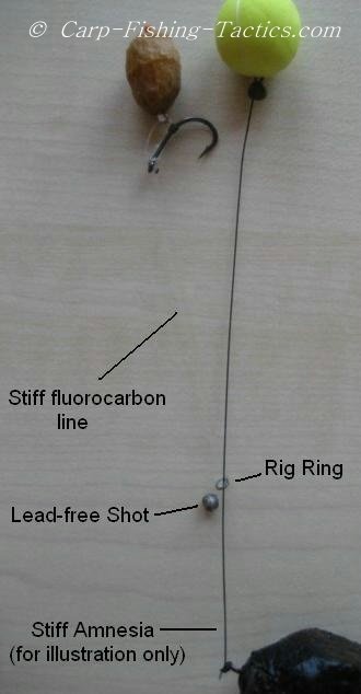 Image of scorpion carp rig