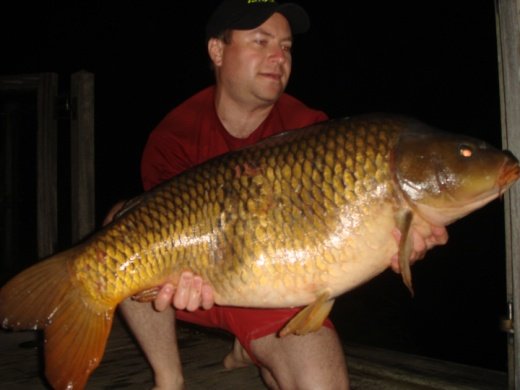 Photo showing carp capture from Highly visible hookbait